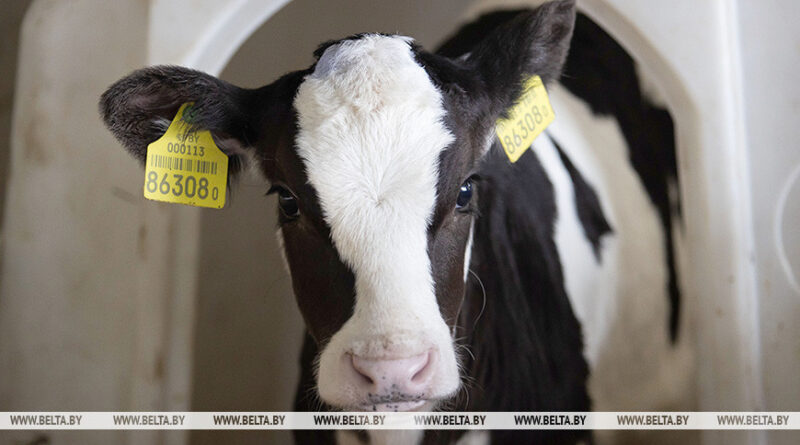 000022_1773327739_769253_big