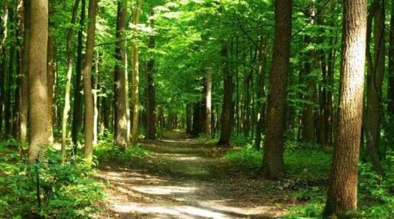 b1b2f1a29ab738669dc746779338779f