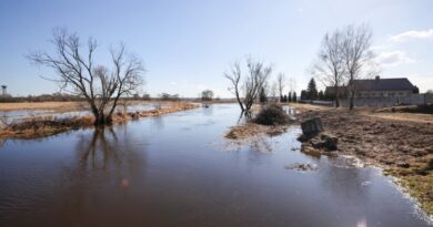 c23d4bdcf97f0cc5d310256afdb11bf7