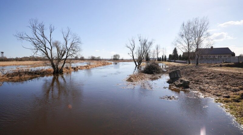 c23d4bdcf97f0cc5d310256afdb11bf7