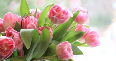 photo_2025-03-06_19-30-09