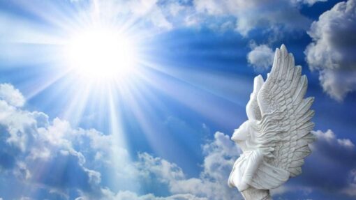 photo_2025-07-29_11-02-08