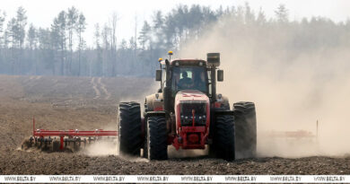 000019_1775982871_775108_big