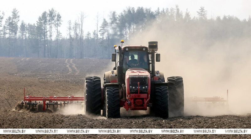 000019_1775982871_775108_big