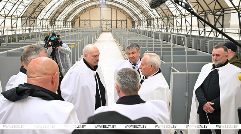 000019_1777201645_777430_big