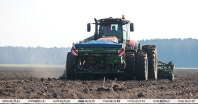 000022_1775454963_773901_big