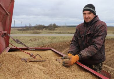Посевная — 2026. В ОАО «Докшицкий» под ранние зерновые и зернобобовые отведено 400 гектаров