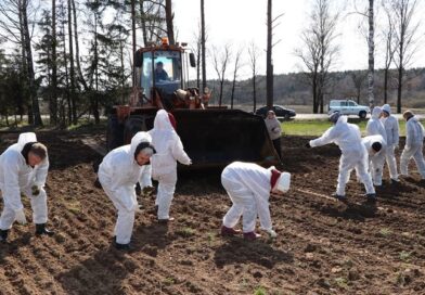 В рамках республиканского субботника Белорусская партия «Белая Русь» оказала шефскую помощь Докшиччине