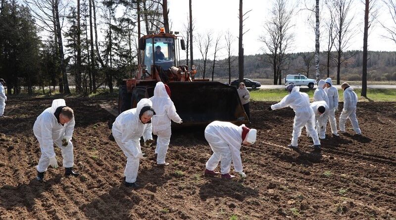 В рамках республиканского субботника Белорусская партия «Белая Русь» оказала шефскую помощь Докшиччине