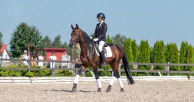 photo_2025-09-11_21-31-07