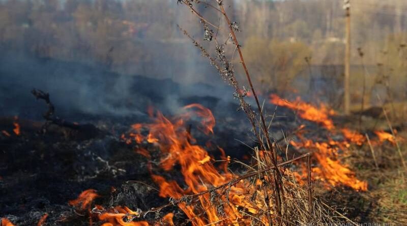 photo_2026-04-01_12-18-50