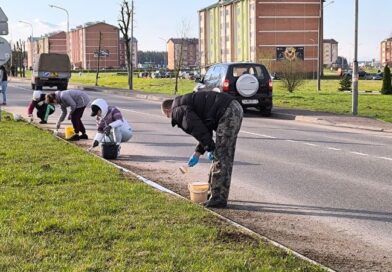 Докшицкий район присоединился к республиканскому субботнику