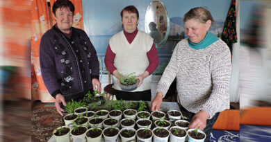 Юлія Даўгапалец, Зінаіда Спірыдовіч і Любоў Румак (злева направа): будучы ўраджай закладзены!