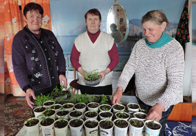 Весна не время сидеть без дела, считает Зинаида Спиридович, старейшина деревни Залядье Бегомльского сельсовета
