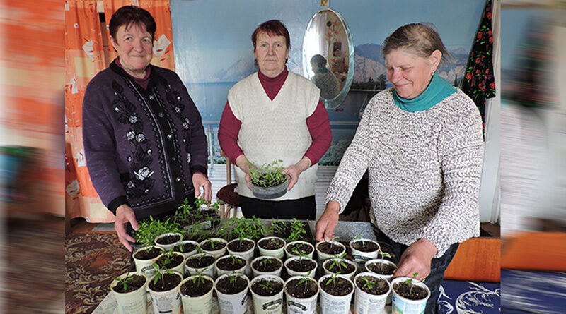 Весна не время сидеть без дела, считает Зинаида Спиридович, старейшина деревни Залядье Бегомльского сельсовета