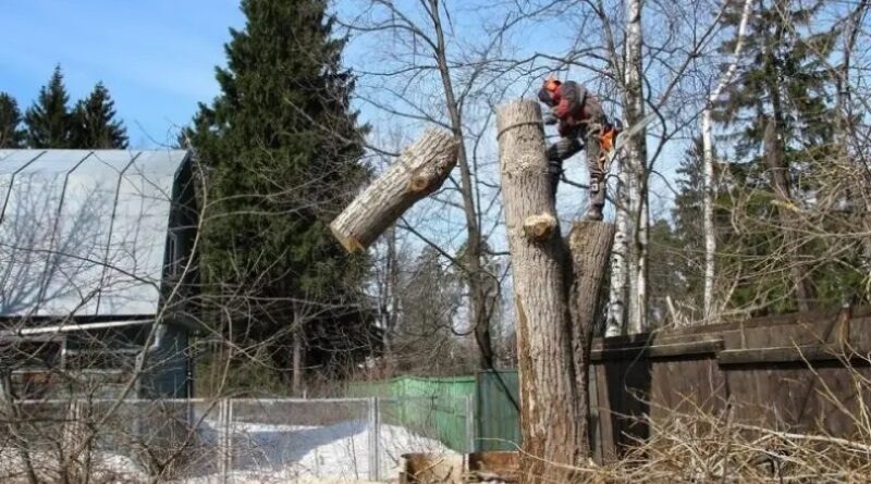 пересадка с