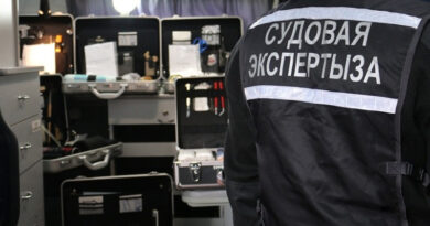 экспертыза с