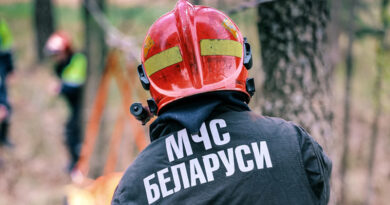 Более 20 пожаров произошло за майские выходные в Витебской области
