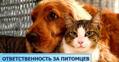 maxresdefault (1) с