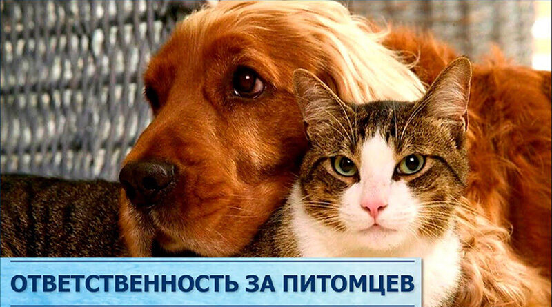 maxresdefault (1) с