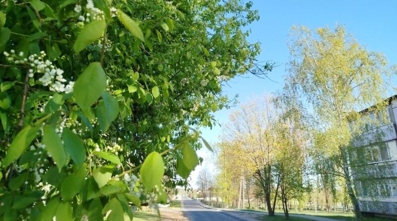 К чему готовиться белорусам после жарких и солнечных выходных, ответили синоптики