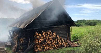 Два пожара ликвидировали спасатели в Докшицком районе за прошедшие выходные