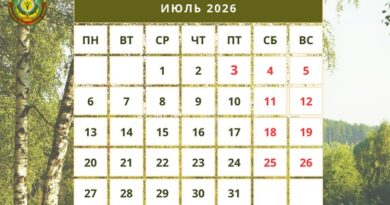 91c8558f-3195-4b89-8957-c8a0f2403ef0