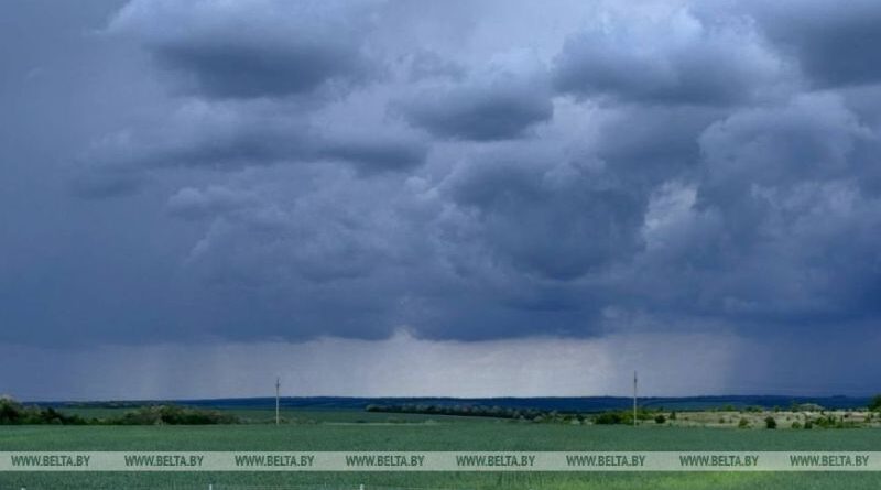 Риск перегрева. Как избежать теплового удара и где лучше всего переждать грозу