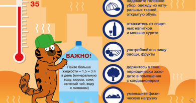 Рекомендации спасателей по безопасности при жаре