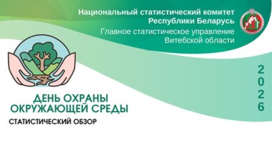Витебск обзор, копия, копия, копия