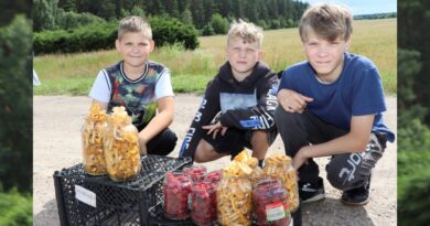 Раман Гапанёнак, Багдан Галацэвіч і Валянцін Грынь: “Вось якія ў нас лісічкі!”