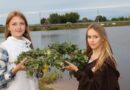 Народный праздник «На Купалье до утра песни, пляски и игра» в Докшицах Народный праздник «На Купалье до утра песни, пляски и игра» в Докшицах