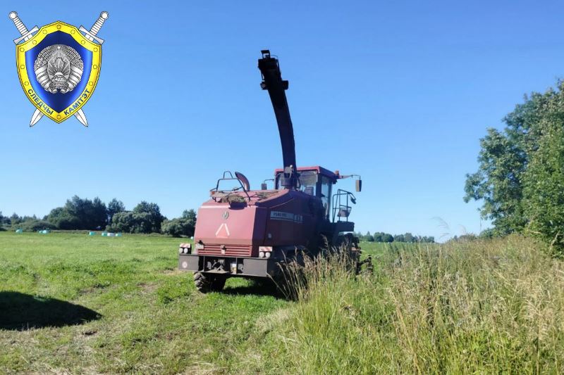 photo_2026-07-22_11-15-03