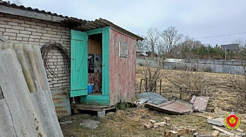 Женщина родила ребенка в уличном туалете и оставила погибать. В Ушачах завершено расследование уголовного дела Женщина родила ребенка в уличном туалете и оставила погибать. В Ушачах завершено расследование уголовного дела