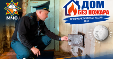 В Докшицком районе спасатели проведут акцию «Дом без пожара»