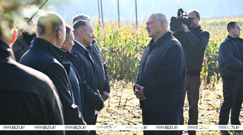 Что делать с «горами» вокруг Солигорска? Александр Лукашенко ознакомился с экспериментом по повышению плодородия почв Что делать с «горами» вокруг Солигорска? Александр Лукашенко ознакомился с экспериментом по повышению плодородия почв