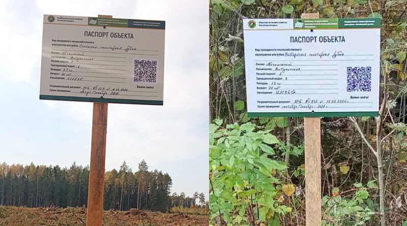 В лесу поможет QR-код. В лесничествах Бегомльского лесхоза устанавливают спецзнаки В лесу поможет QR-код. В лесничествах Бегомльского лесхоза устанавливают спецзнаки