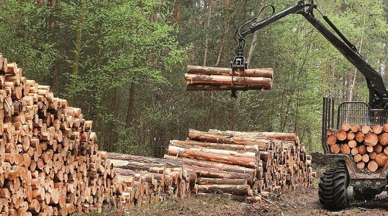 Фото для иллюстрации.